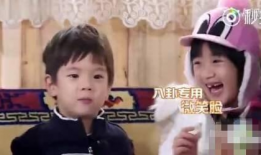 娱乐圈娱乐八卦吃瓜,揭秘明星们的幕后故事与情感纠葛